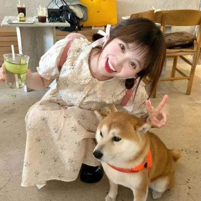 沉睡的哨兵